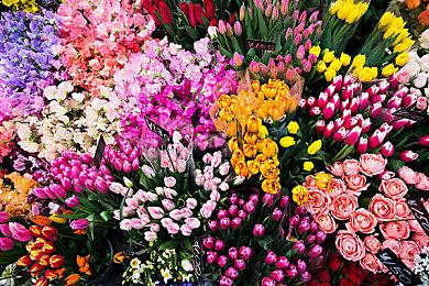 《吸血鬼幸存者》官方发布2023年度总结 在线合作模式仍在计划中